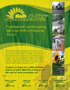 Sun And Sky Landscaping Flyer